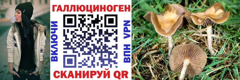 Псилоцибиновые грибы мицелий  наркошоп  Тосно 