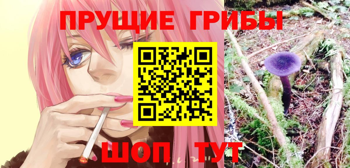 магазин  наркотиков  Галлюциногенные грибы мицелий  Вход с VPN  Тосно 