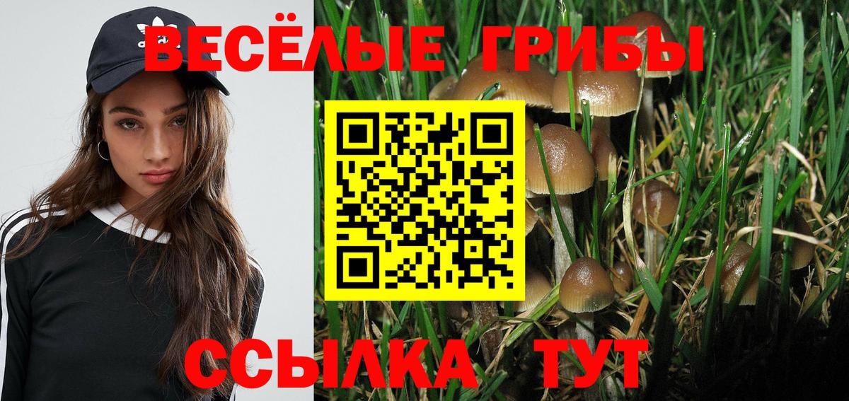 Галлюциногенные грибы GOLDEN TEACHER Тосно